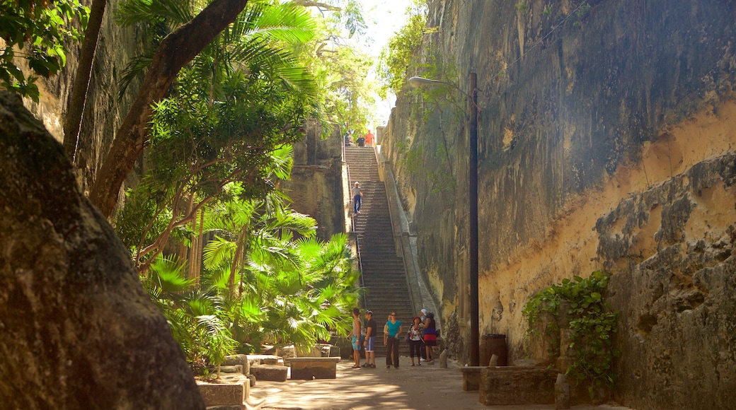 Queen\'s Staircase montrant gorge ou canyon aussi bien que important groupe de personnes