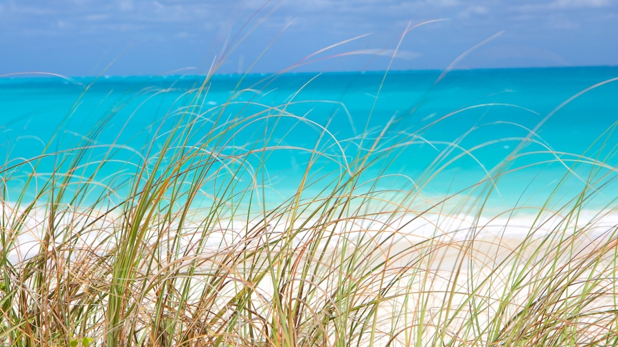 Tropic of Cancer Beach showing general coastal views