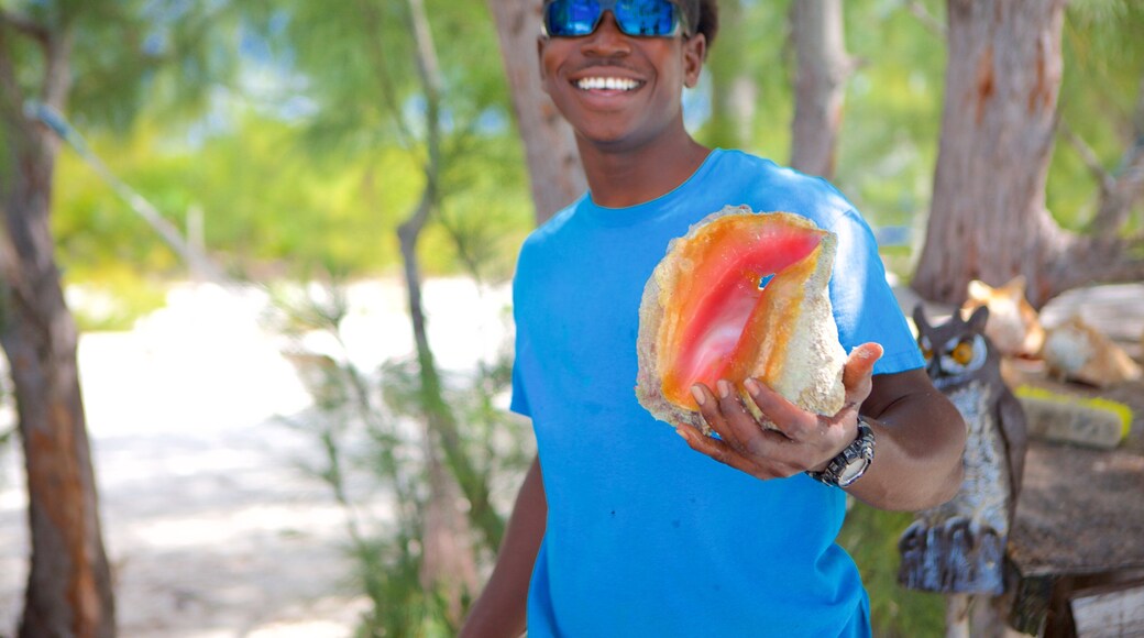 Îles Exumas aussi bien que homme