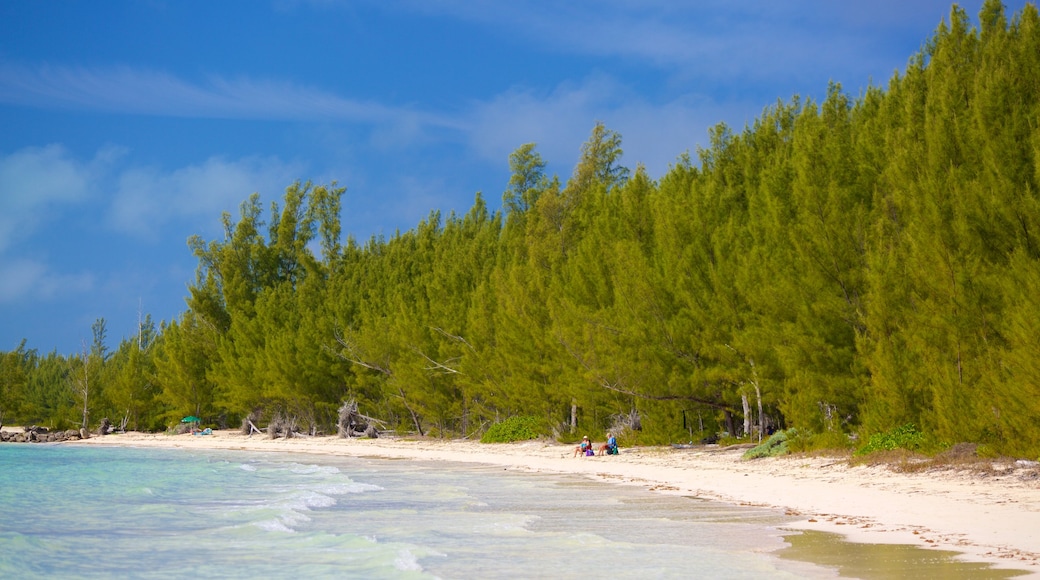 Barbary Beach que incluye una playa de arena