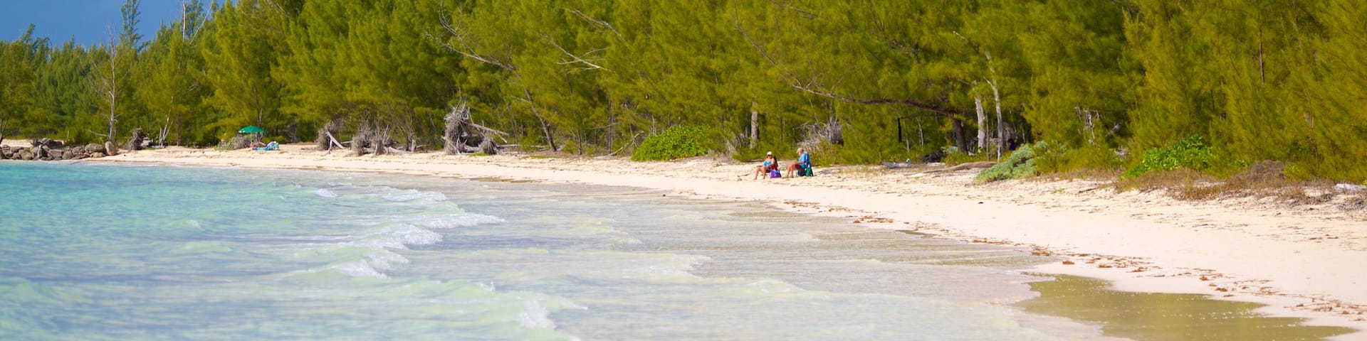 Barbary Beach featuring a beach