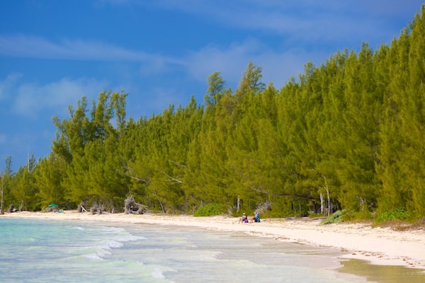Barbary Beach featuring a beach