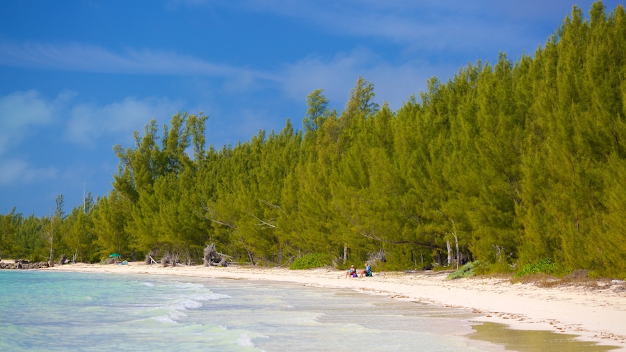 Barbary Beach che include spiaggia sabbiosa