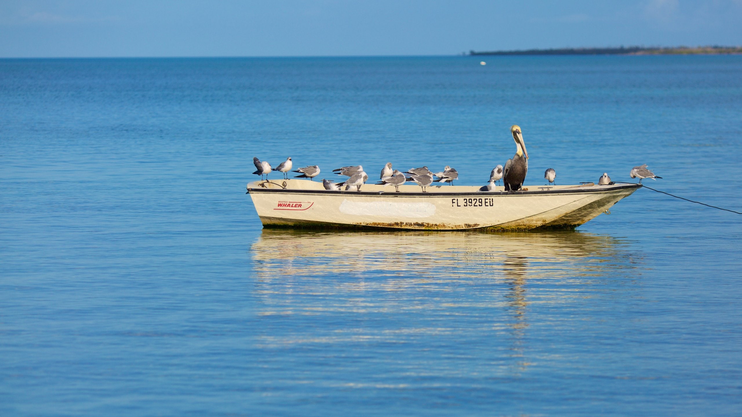 Freeport, BS Vacation Rentals house rentals & more Vrbo