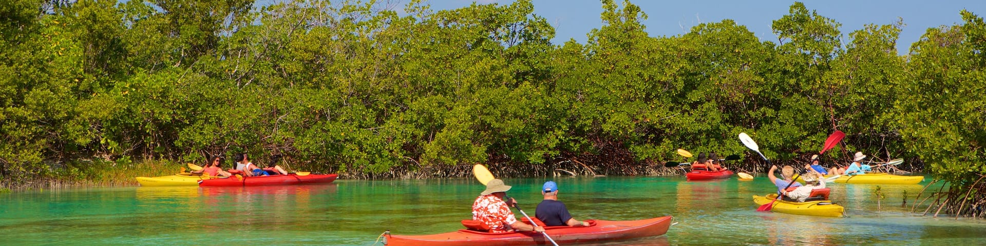 Lucayan National Park featuring a lake or waterhole, mangroves and kayaking or canoeing