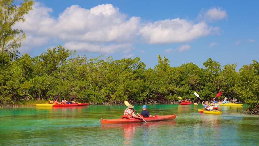 Lucayan National Park che include kayak o canoa, lago o sorgente d\'acqua e mangrovie