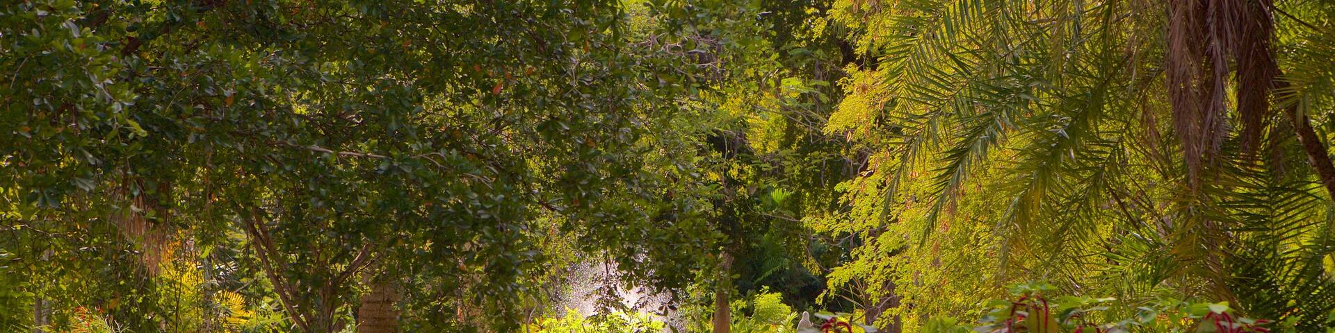 Garden of the Groves which includes rainforest and a pond