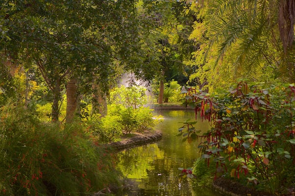 Garden of the Groves which includes rainforest and a pond