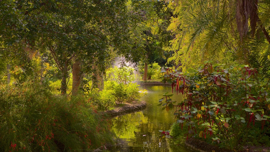 Garden of the Groves which includes rainforest and a pond