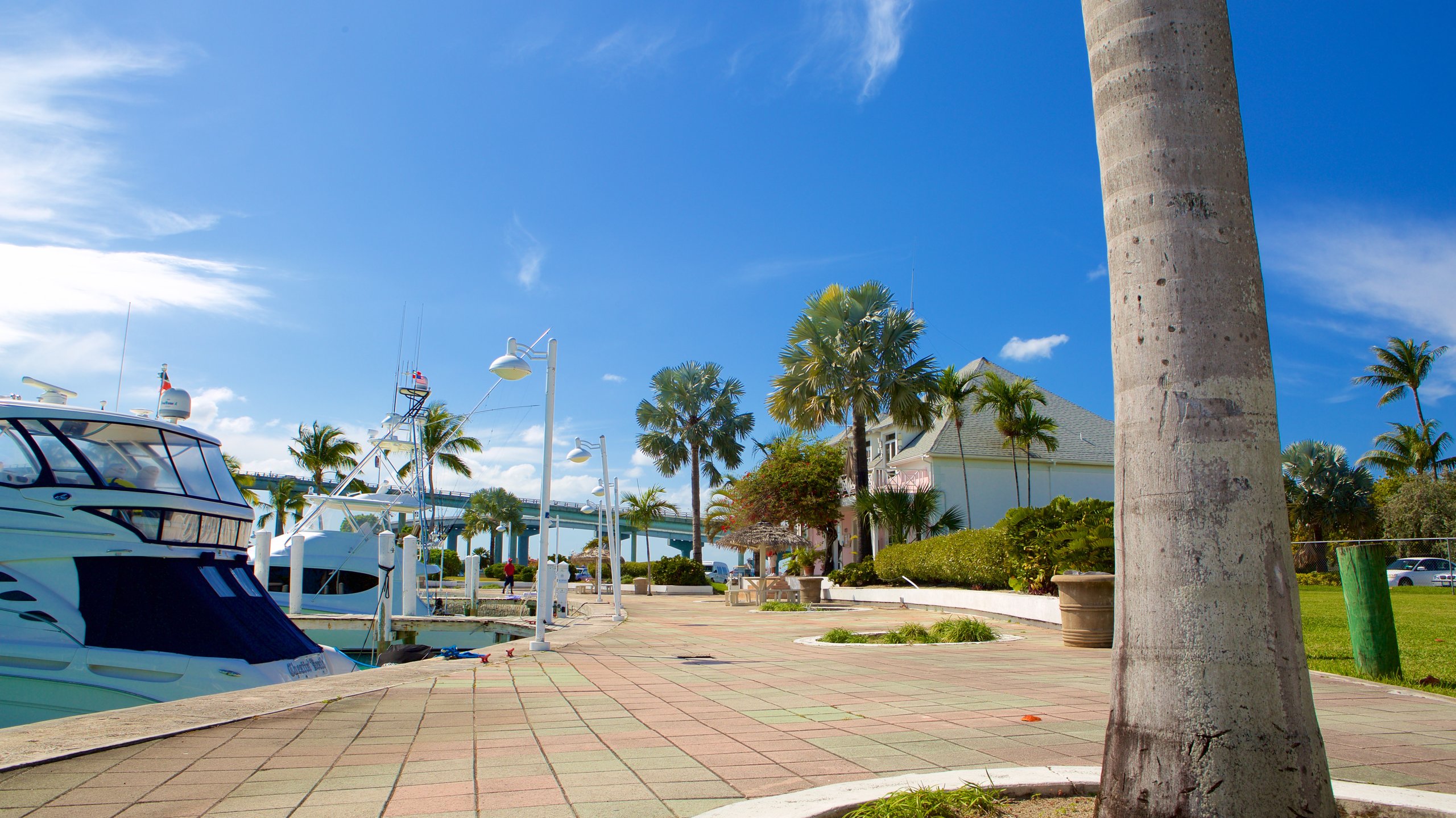 Paradise Island which includes general coastal views, tropical scenes and a marina