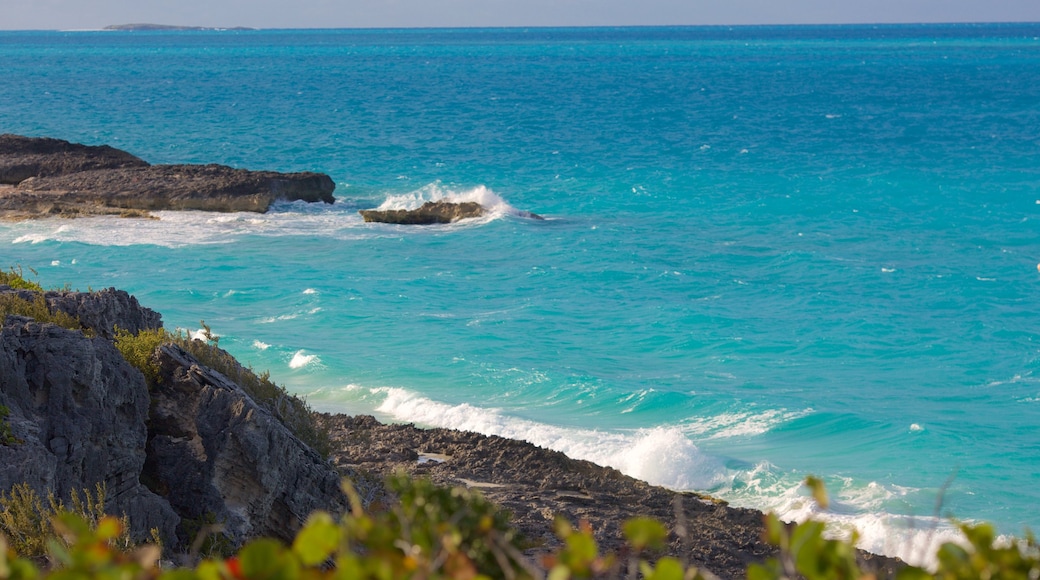 William\'s Town showing rugged coastline