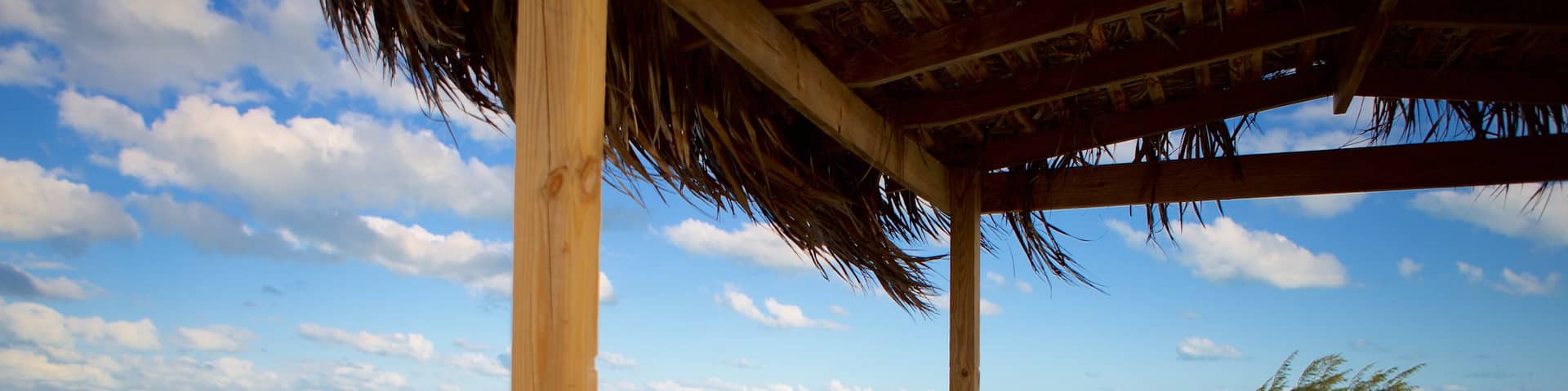 William\'s Town featuring general coastal views
