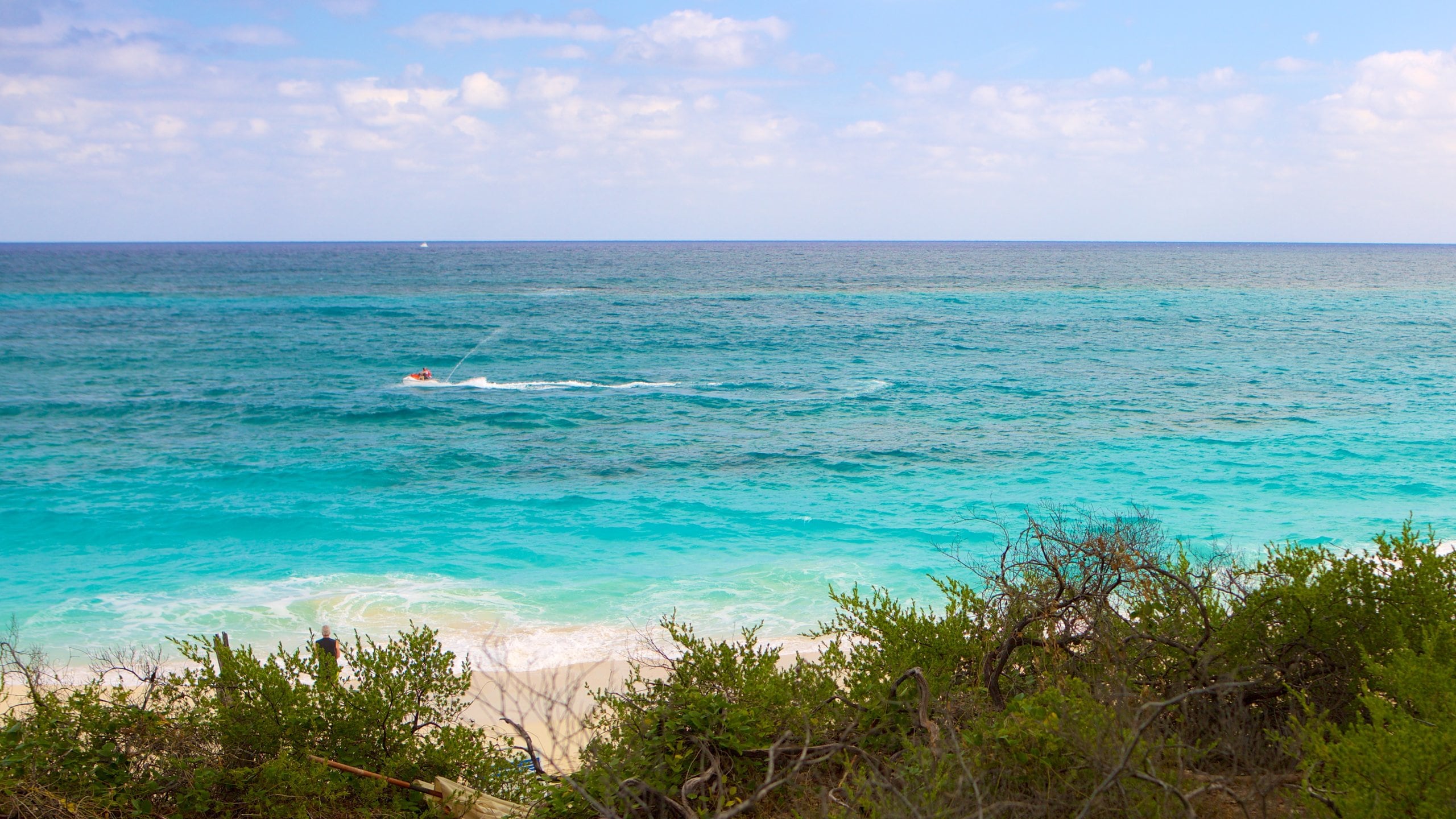 Ferienwohnung Cabbage Beach Ferienhäuser & mehr FeWodirekt