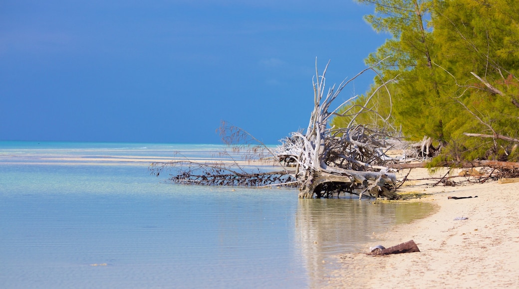 East Grand Bahama