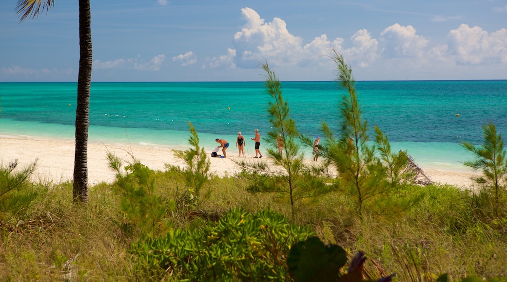 Taino Beach caracterizando cenas tropicais, paisagens litorâneas e uma praia de areia