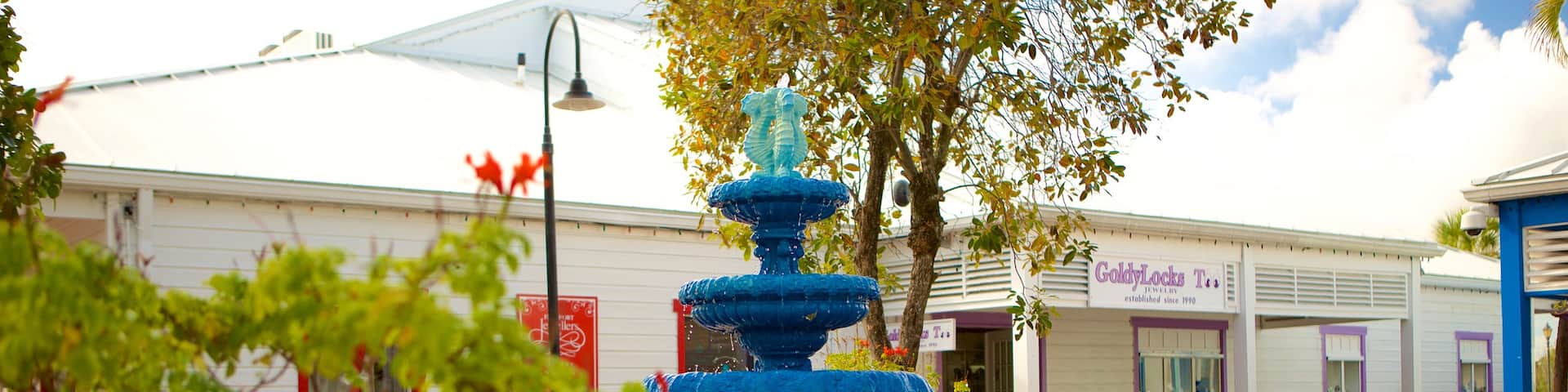 Port Lucaya Marketplace showing markets and a fountain