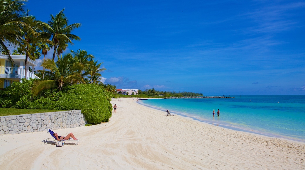 Lucaya Beach mostrando paisagens litorâneas, uma praia e cenas tropicais