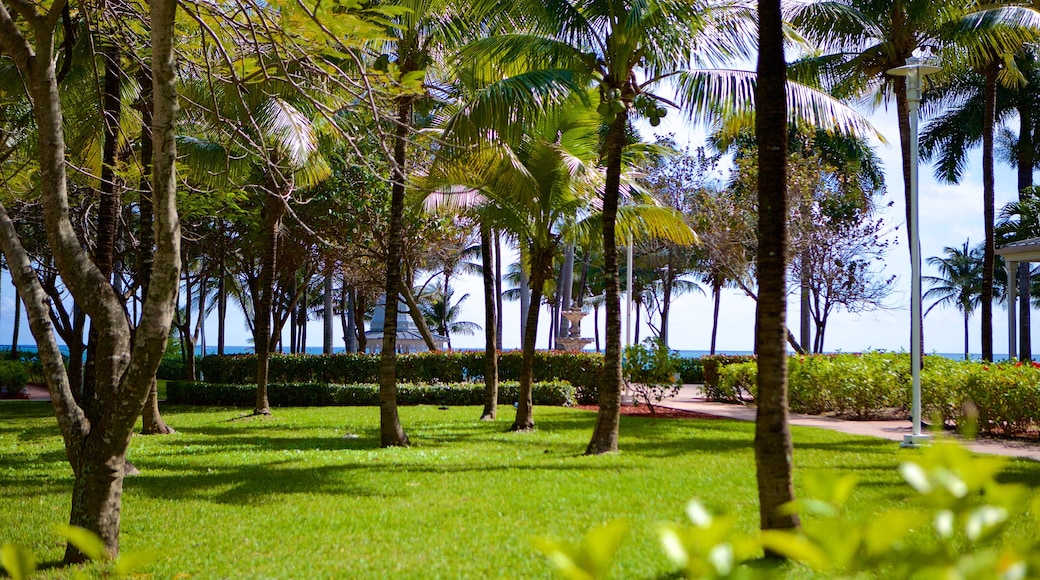 Lucaya Beach showing a park