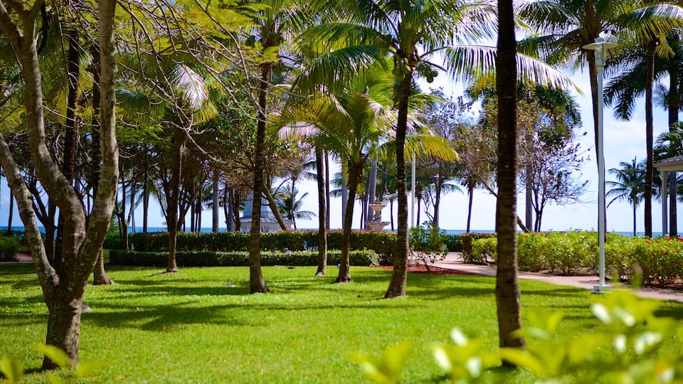 Lucaya Beach que inclui um jardim