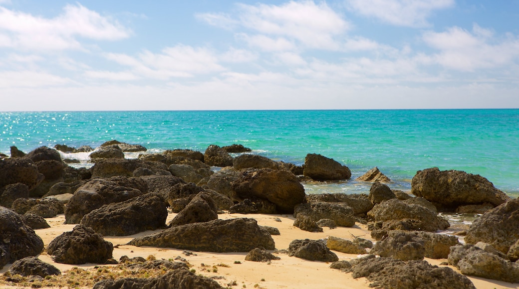 Barbary Beach which includes a sandy beach and rocky coastline