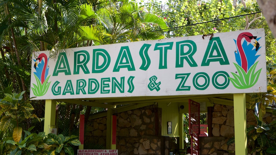 Taman, Kebun Binatang, dan Pusat Konservasi Ardastra