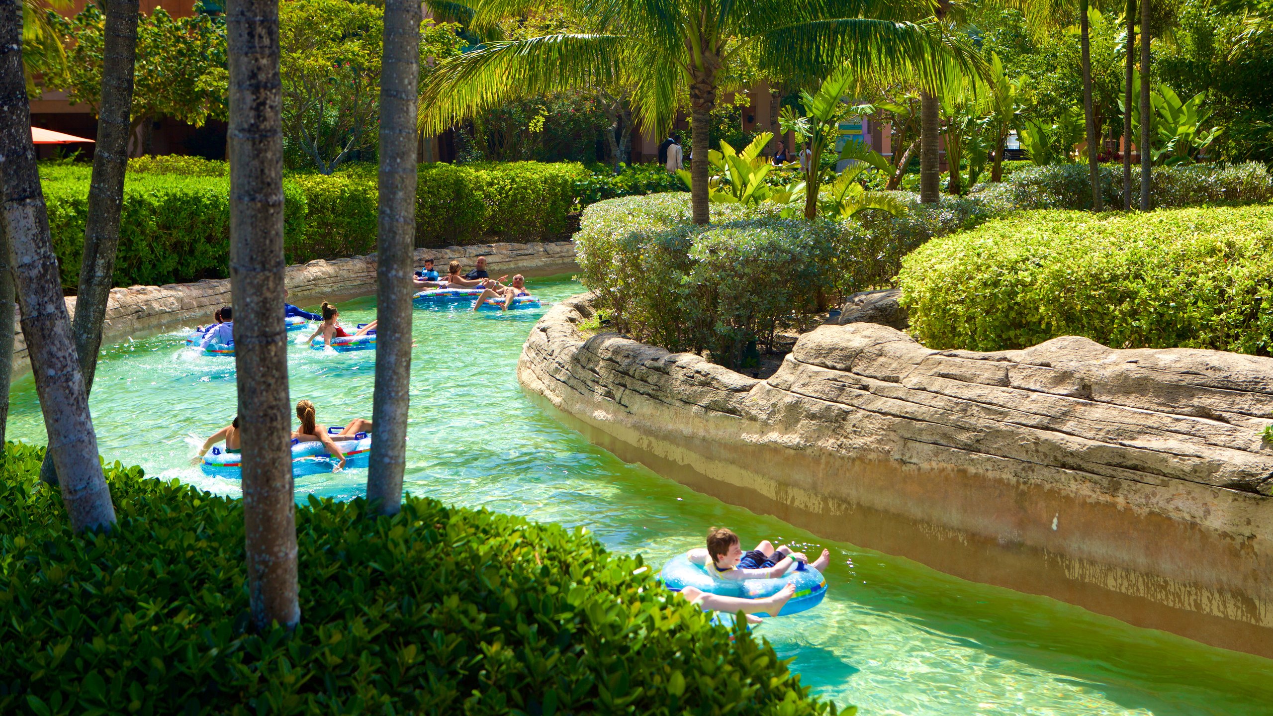 Aquaventure featuring swimming and a waterpark as well as children