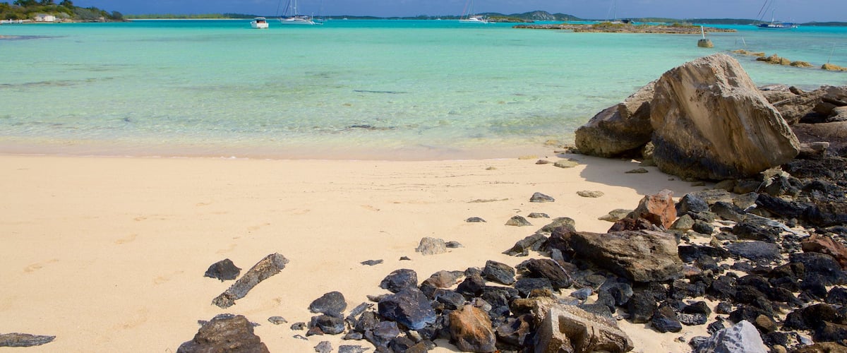 Palm Bay Beach welches beinhaltet Strand