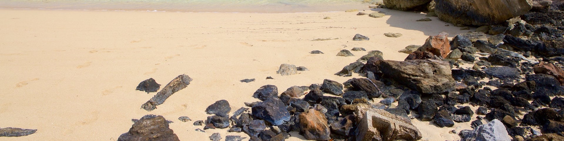 Palm Bay Beach which includes a beach