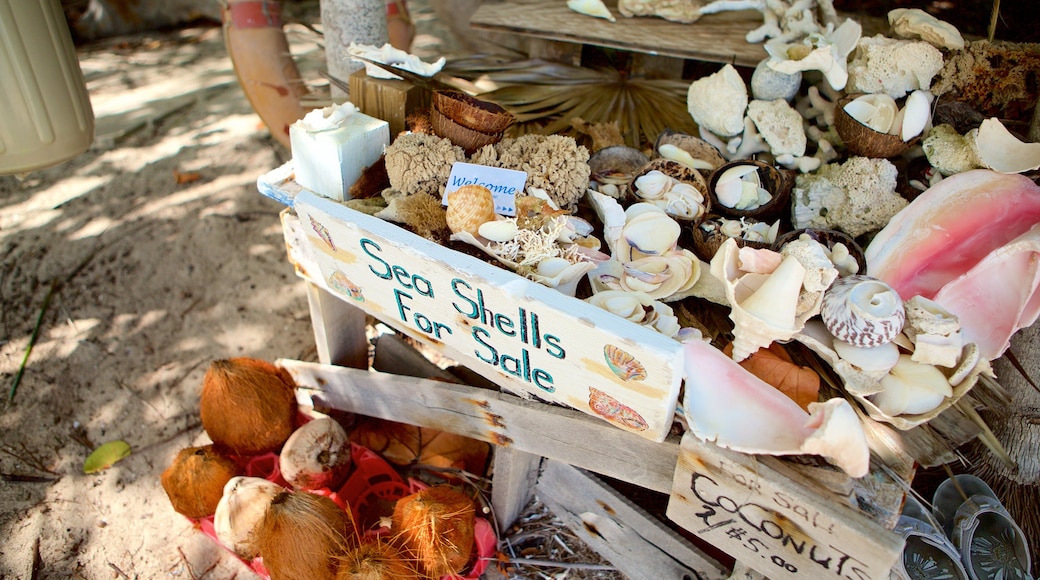 Plage de Palm Bay qui includes shopping