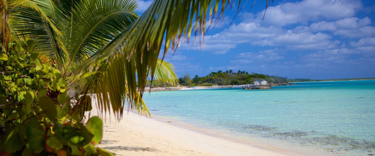 Palm Bay Beach featuring a beach and tropical scenes