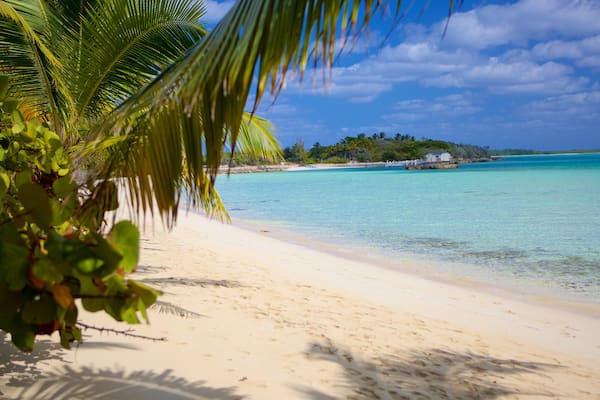 Palm Bay Beach featuring a sandy beach and tropical scenes