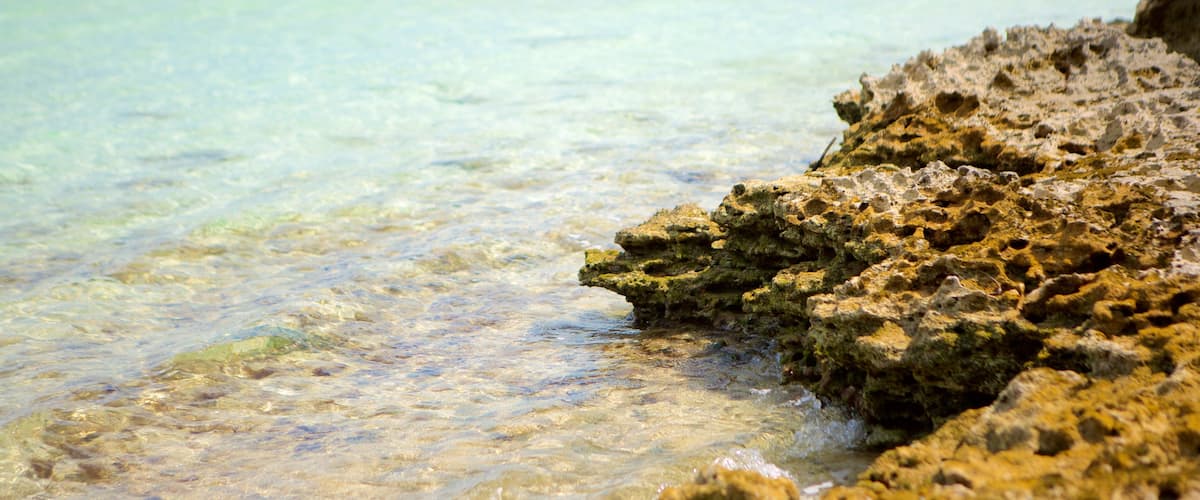 Palm Bay Beach which includes general coastal views