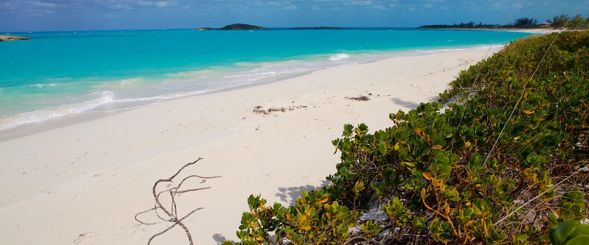 Tropic of Cancer Beach which includes a beach