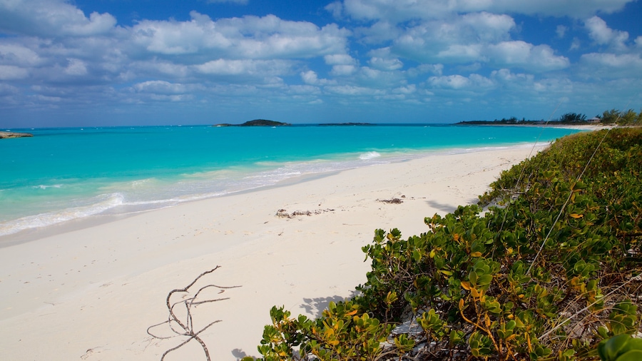 Tropic of Cancer Beach which includes a beach