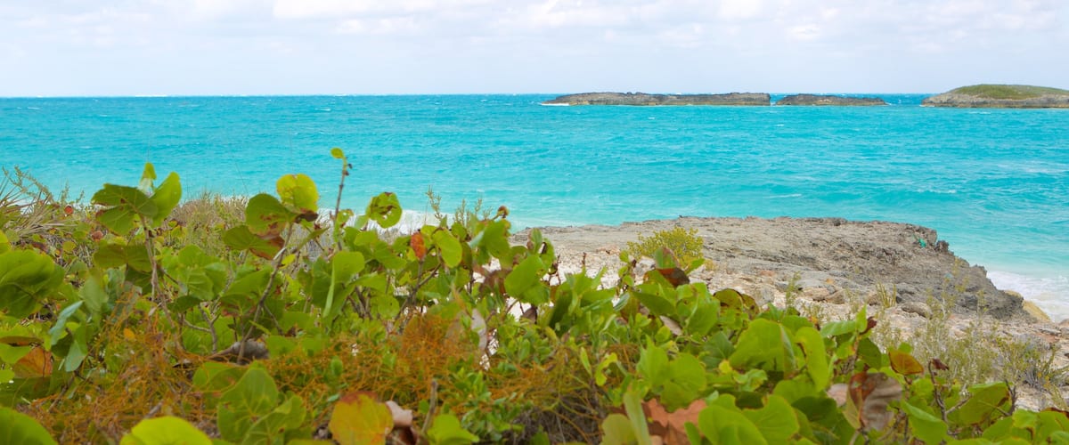 Tropic of Cancer Beach showing general coastal views