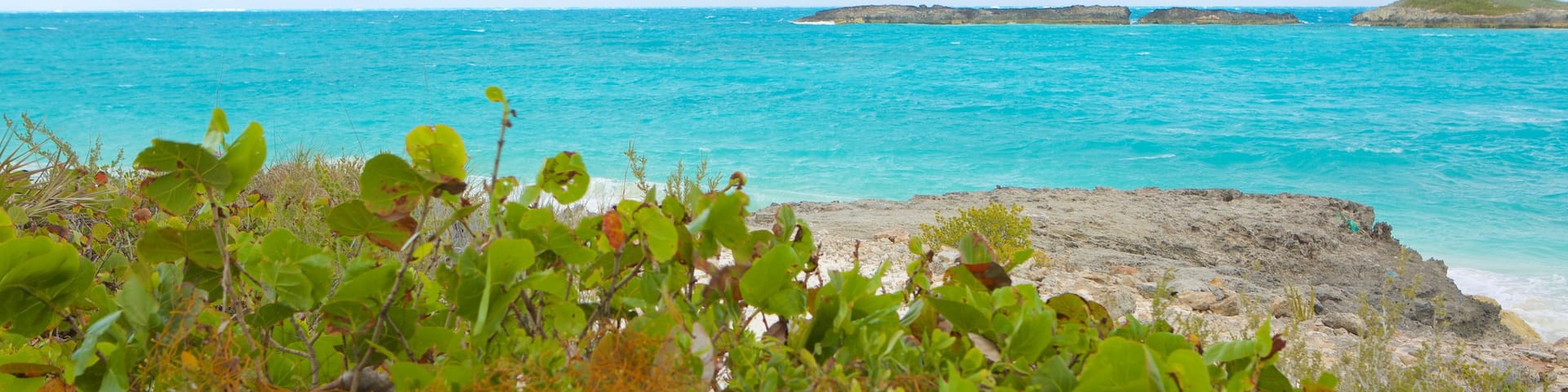 Tropic of Cancer Beach das einen allgemeine KĂŒstenansicht