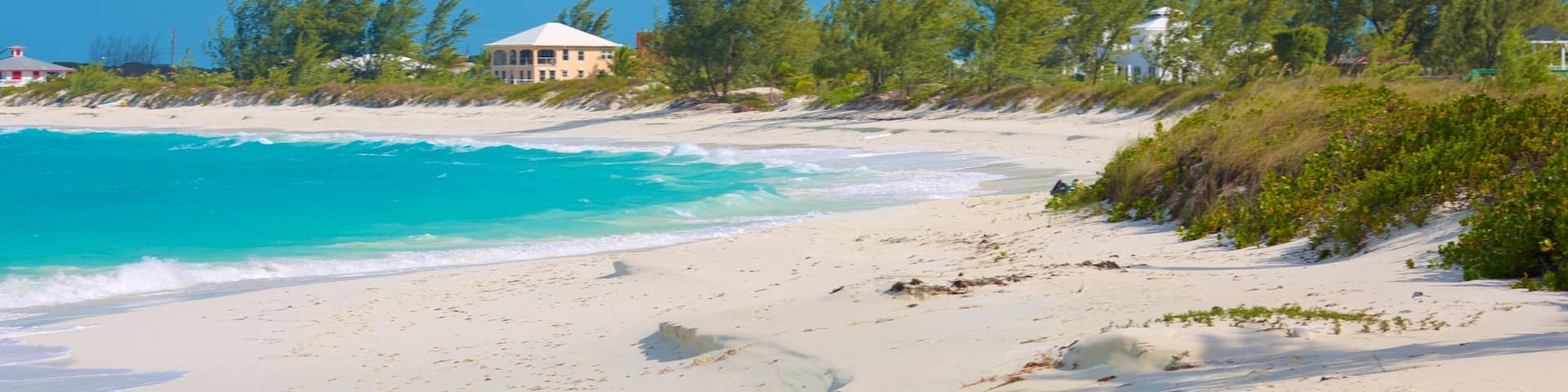 Tropic of Cancer Beach welches beinhaltet Sandstrand