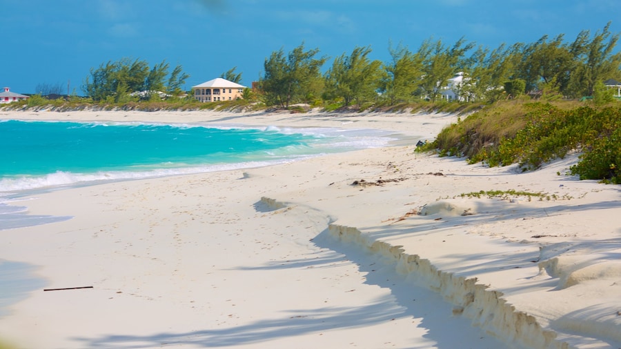 Tropic of Cancer Beach