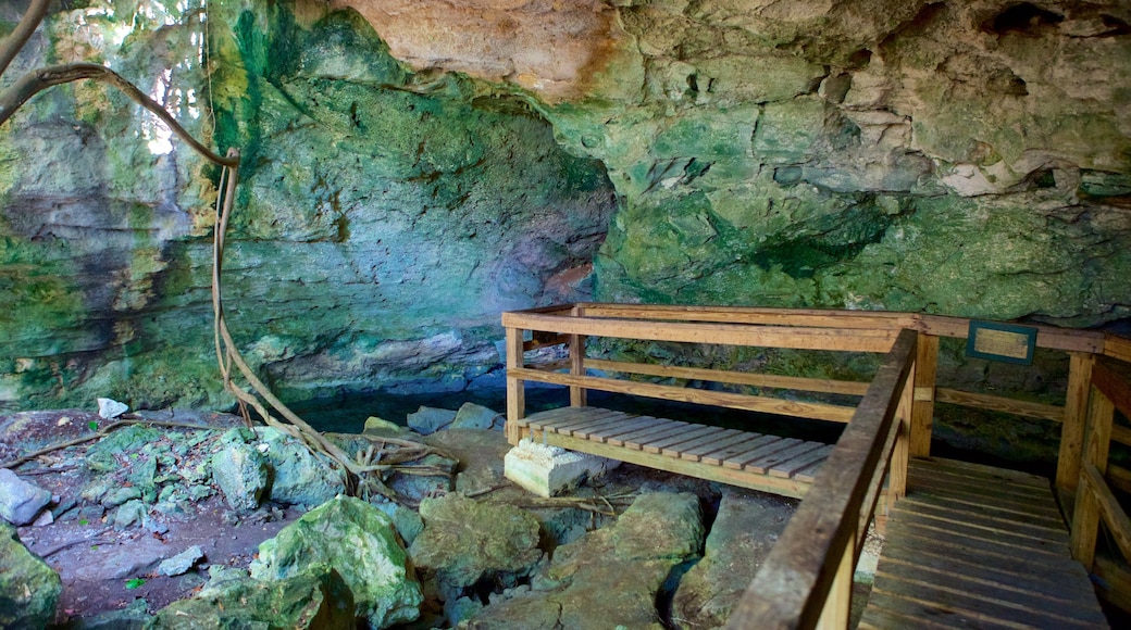 Burial Mount Cave which includes caves