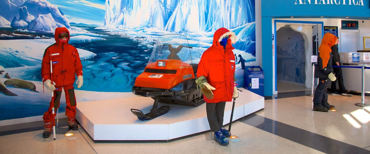 International Antarctic Centre featuring interior views
