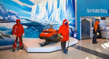 International Antarctic Centre featuring interior views