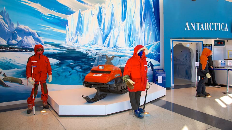 International Antarctic Centre que incluye vistas interiores