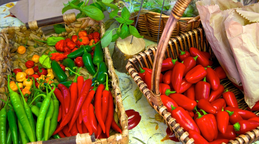 Christchurch showing food