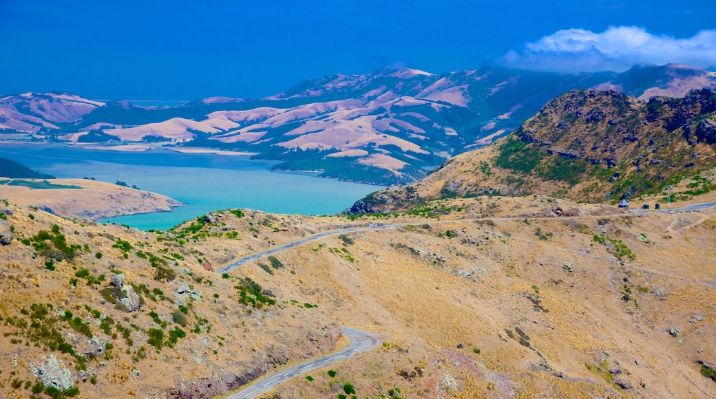 Teleférico de Christchurch mostrando montañas, vistas panorámicas y vistas de una costa