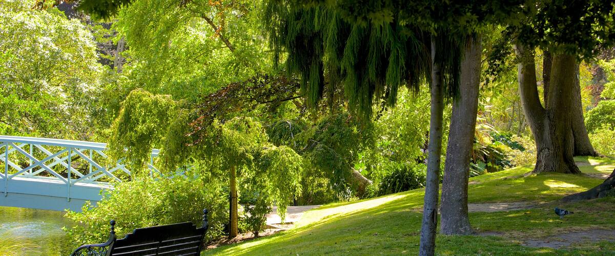 Mona Vale que incluye jardín