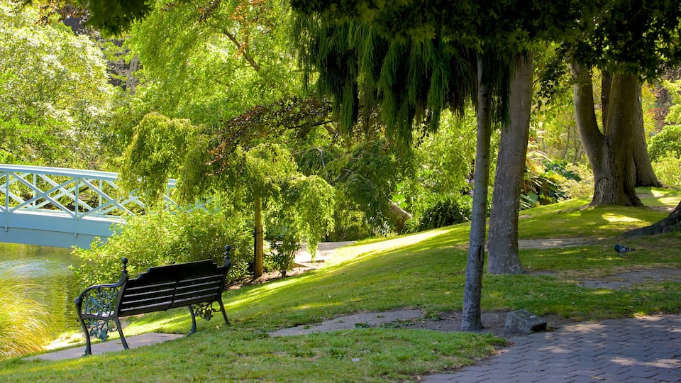 Mona Vale featuring a garden