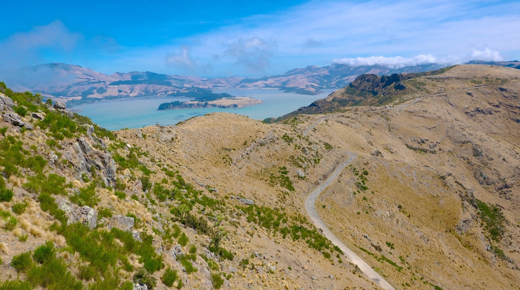 Christchurch Gondola showing landscape views and mountains