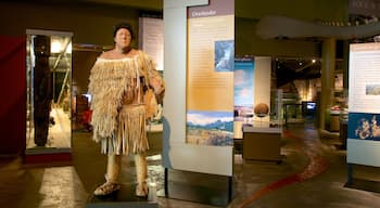 Otago Museum og byder på interiør