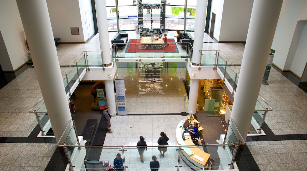 Otago Museum which includes interior views