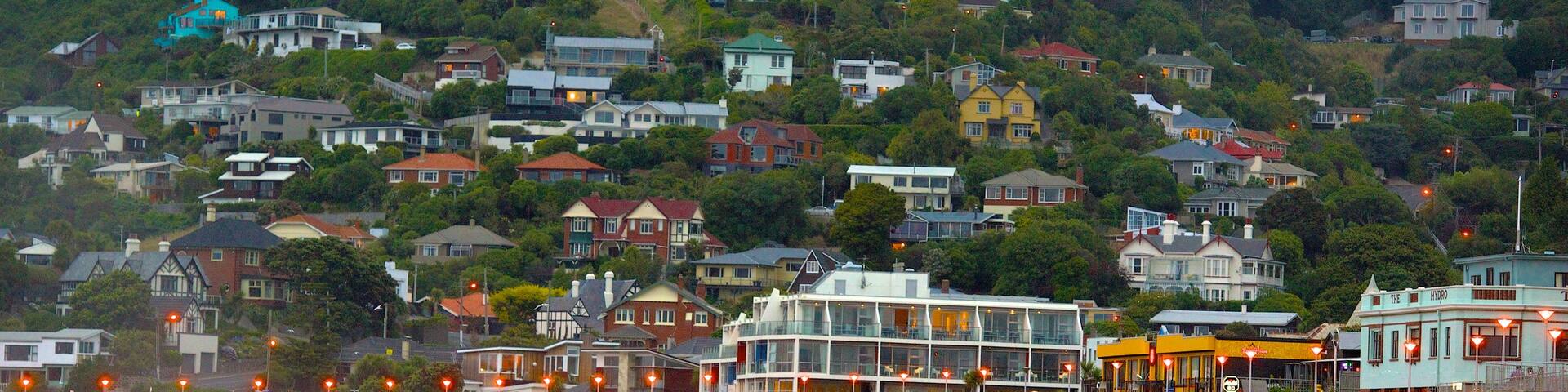 St. Clair Beach which includes a coastal town and a beach